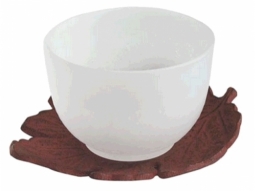 Teecup Glas mit Untersetzer