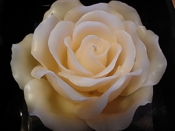 Rosenkerze im Geschenkkarton elfenbein