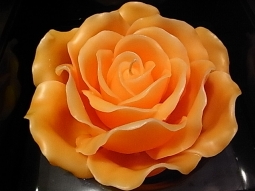 Rosenkerze im Geschenkkarton orange