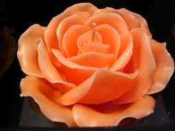 Rosenkerze im Geschenkkarton pfirsich