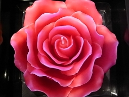 Rosenkerze im Geschenkkarton pink