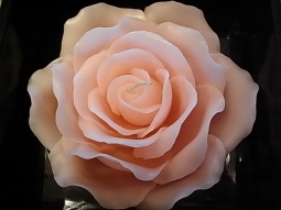Rosenkerze im Geschenkkarton rosa