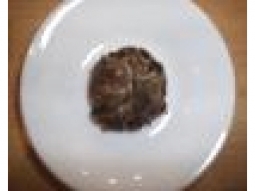 TEEROSE GREEN JASMIN A 10 St�ck 