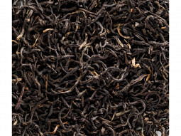 Schwarztee Assam SF TGFOP "Gingia" 