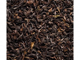 Bio Schwarztee Bio Darjeeling sf Singt..