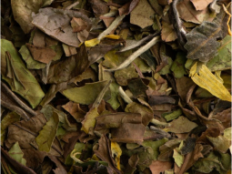 Weisser Tee Earl Grey-Vanille