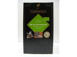 Pyramidenbeutel Grüntee Bio Glücksdrac..