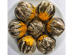 China Teerose ,Chrysantheme' 