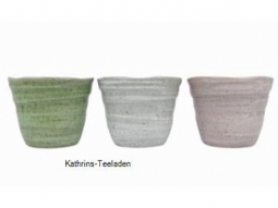 Japan Cup Shimo 6 Stück