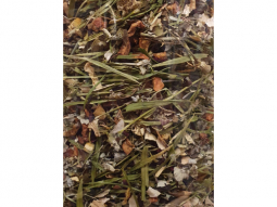 Kräutertee Himbeer-Minze-Bambus