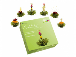  6er Box ErblühTee „Grüner Tee“ 39g