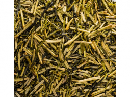 Bio Japan Kukicha Bio Grüner Tee