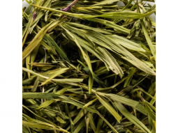 Bambusblatt Tee natur