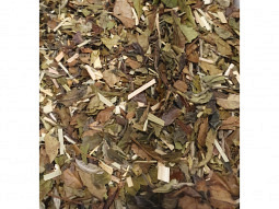 Angebot Bio Weißer Tee Ingwer-Zitrone Bio