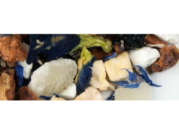 Früchtetee Kleine Nixe