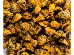 China Wilde gelbe Chrysanthemen